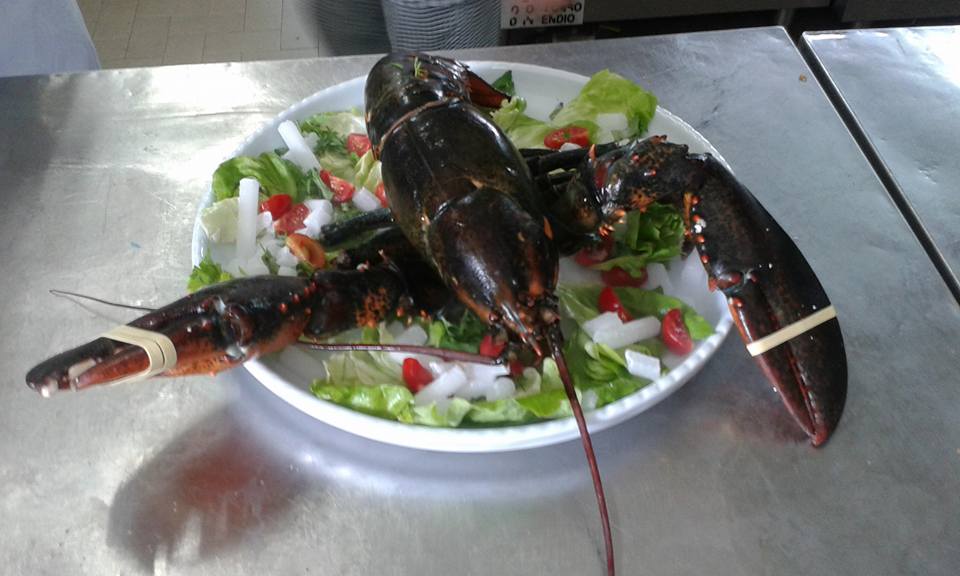 piatti di mare