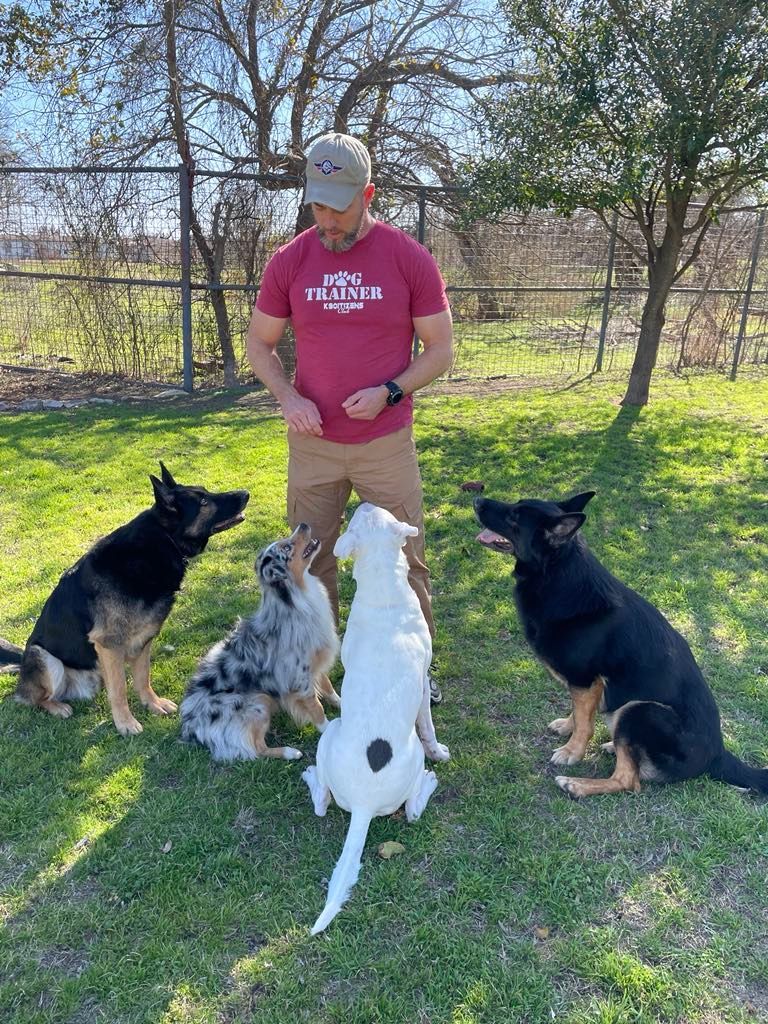Man with four dogs, outdoors. Dogs are sitting or looking up at him.