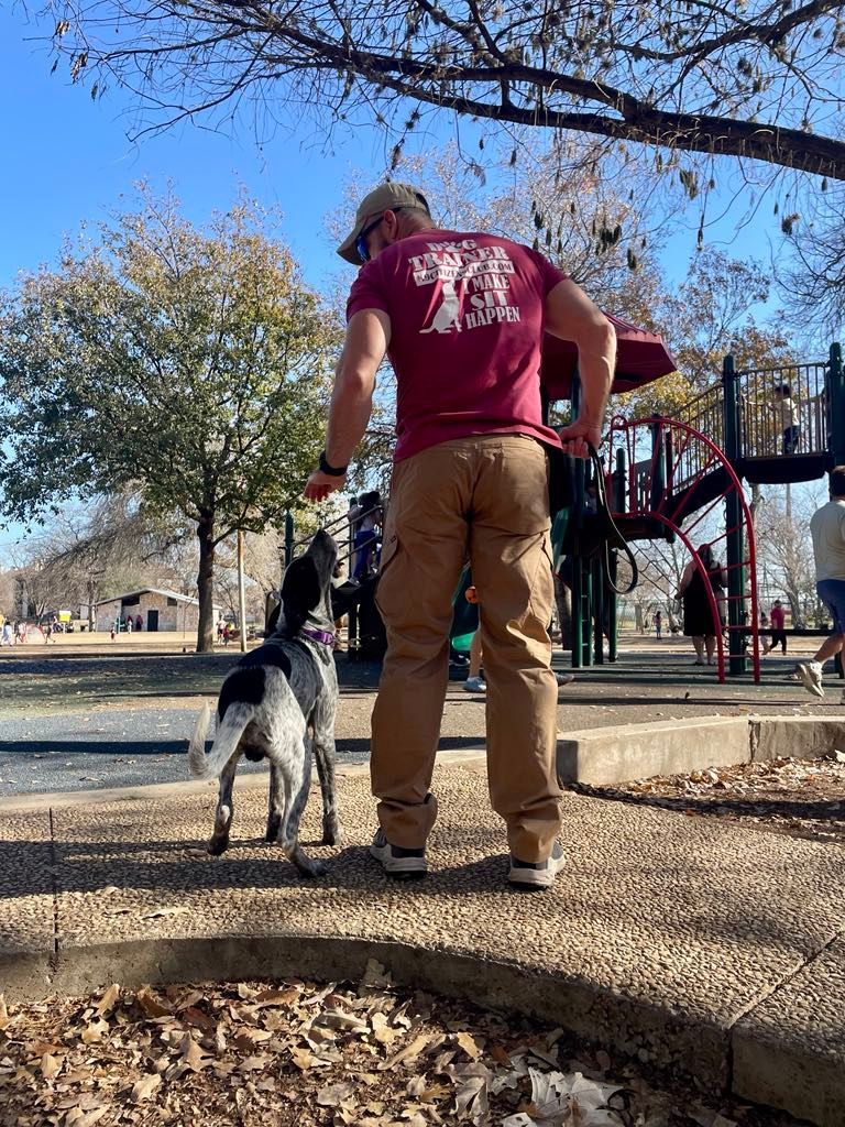 Man in maroon shirt and tan pants at a park with a spotted dog, near a playground.