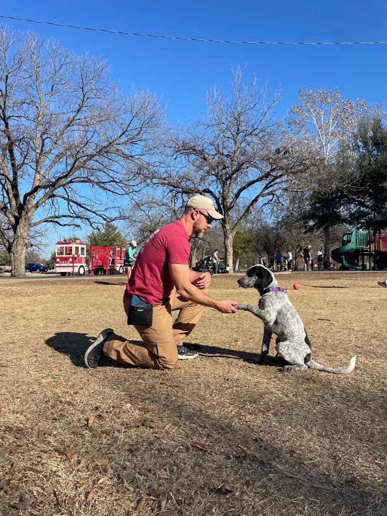 Man kneeling, giving high five to a dog in a park. Dog is spotted, sky is blue.