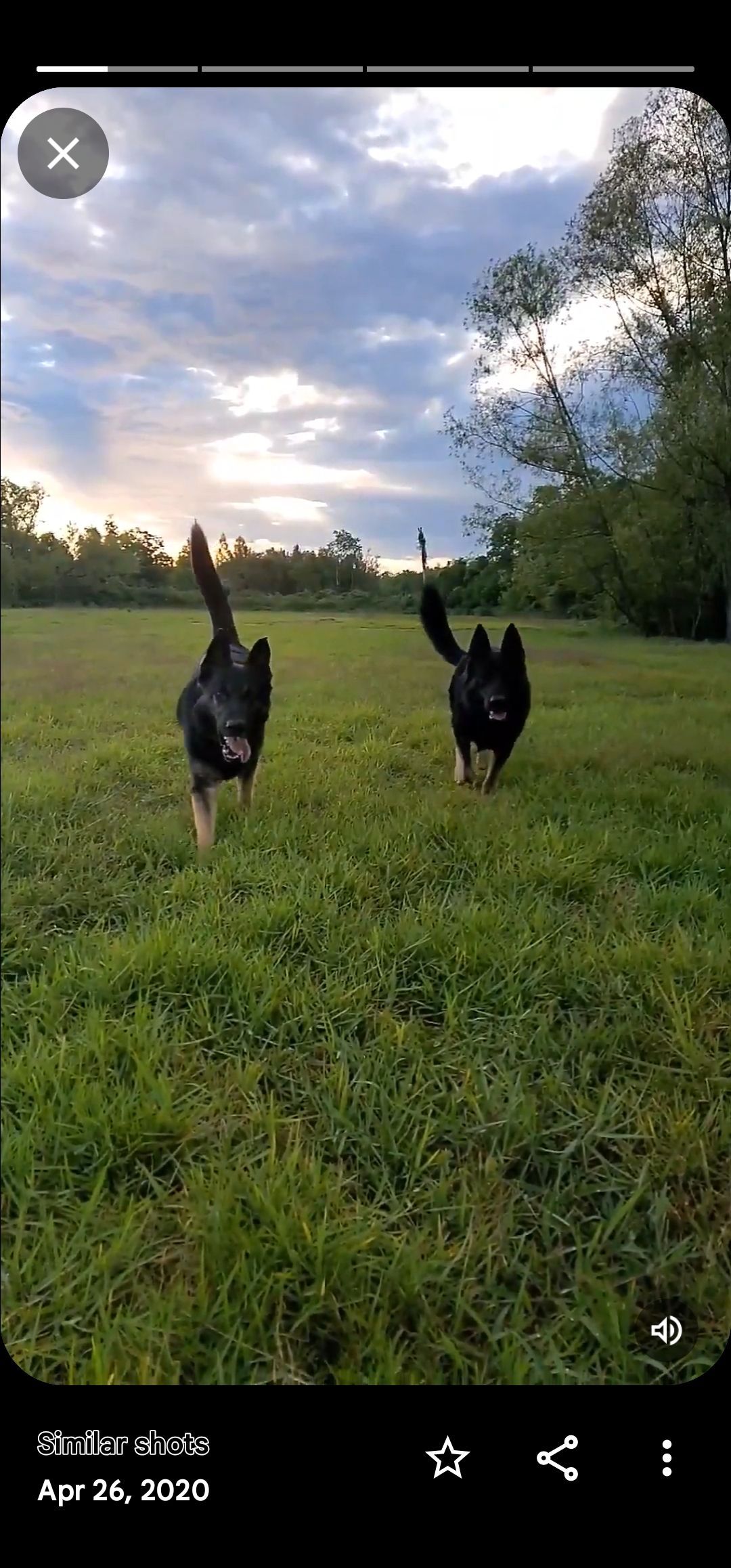 Two black and tan dogs running in a grassy field towards the viewer under a cloudy sky.