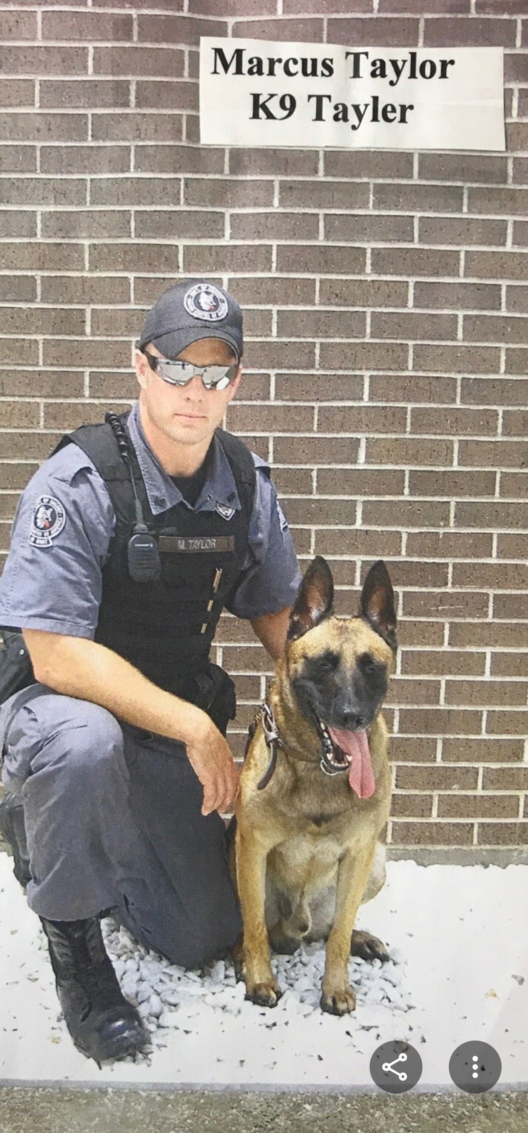 Officer Marcus Taylor with K9 Tayler in front of a brick wall. The dog is panting, and the officer is kneeling.