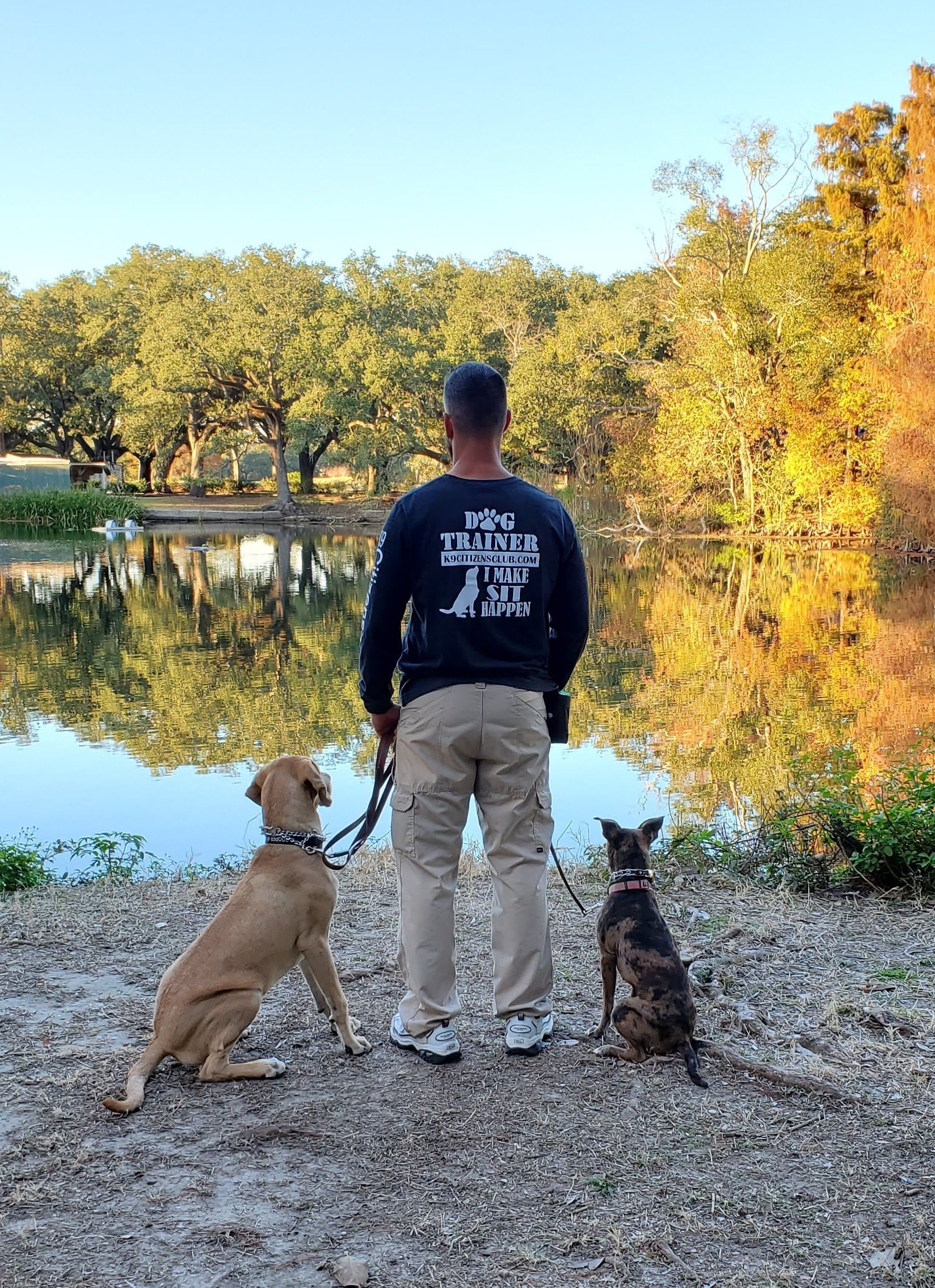 Man and two dogs looking at a reflective pond with trees in background.