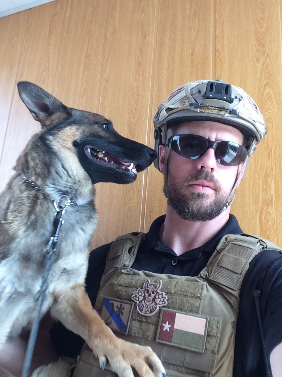 Man in tactical gear and dog, both looking at the camera.