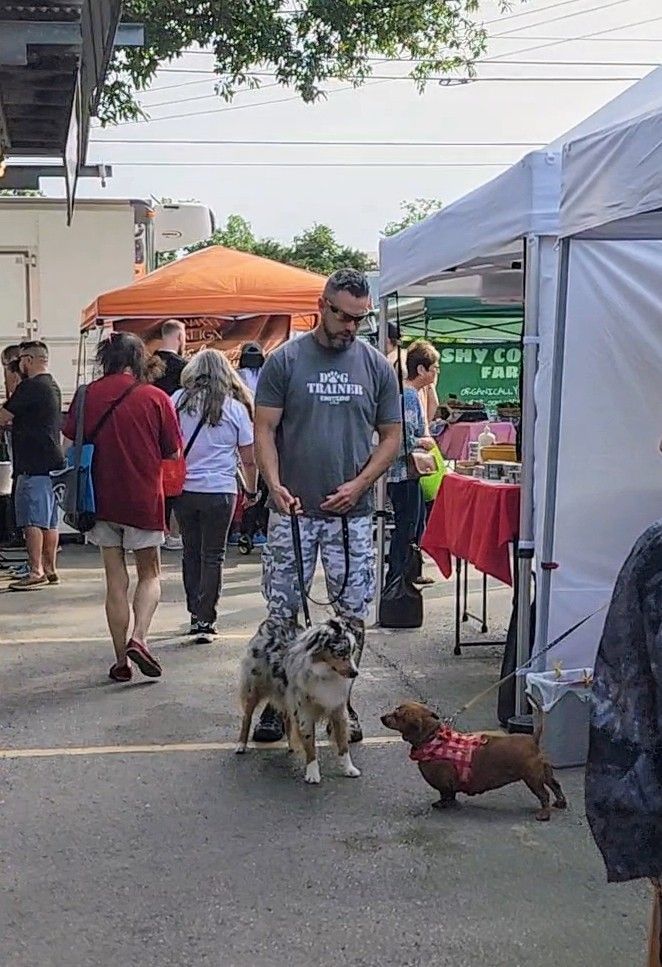 Man with two dogs at an outdoor market; a dachshund and an Australian Shepherd.