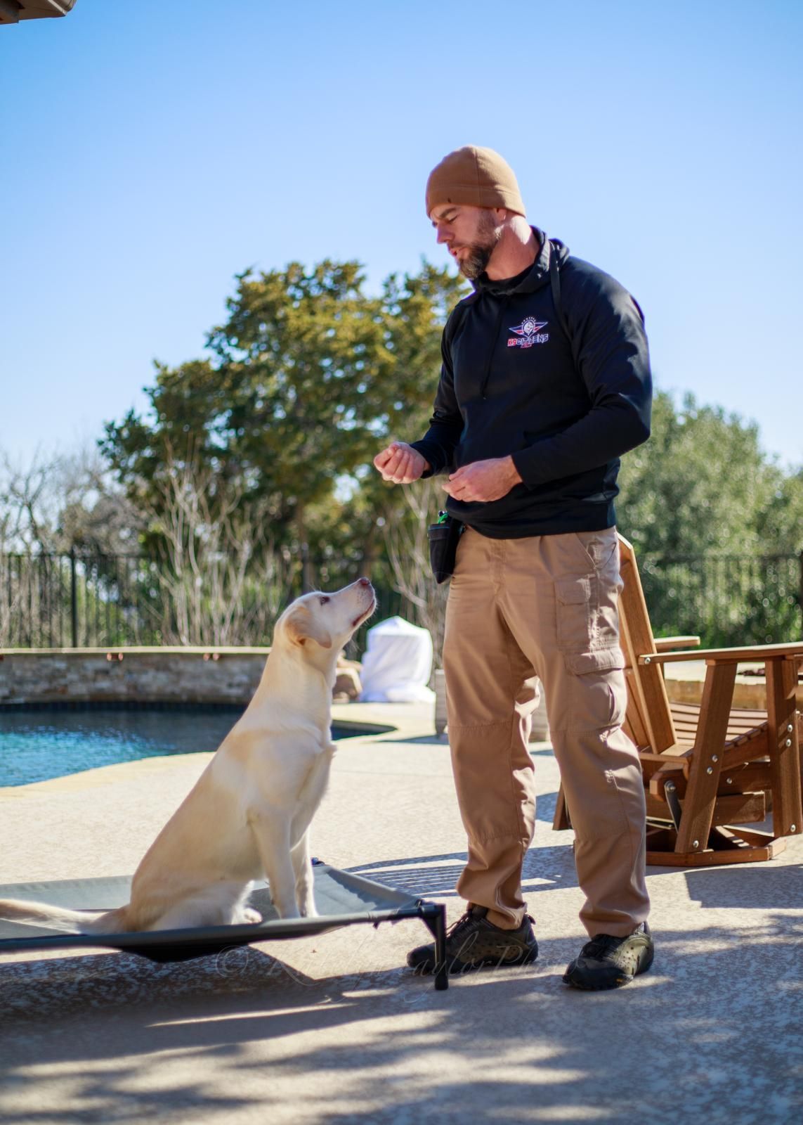 Man training a yellow Labrador outdoors with a treat. Dog sits on a mat near a pool.