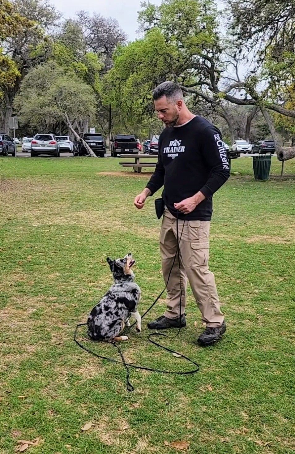 Man training a dog outdoors. Man holding treat, dog looking up, on leash. Green grass and trees in the background.