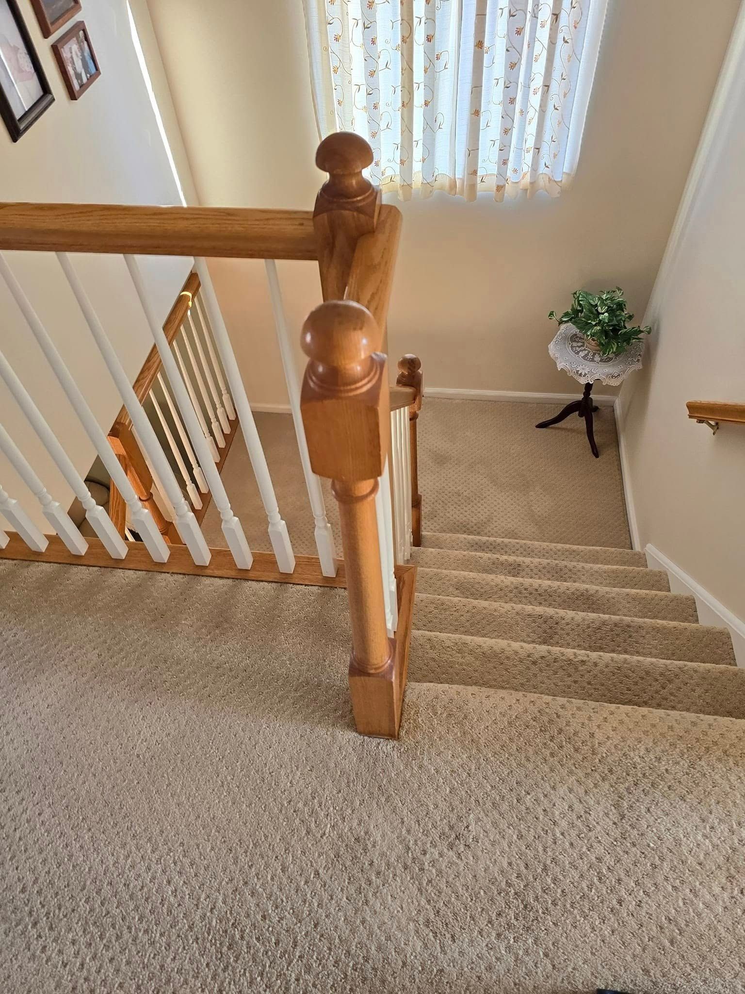 Carpeted staircase with wooden railings and white balusters looking down toward a window and a small plant on a stand.