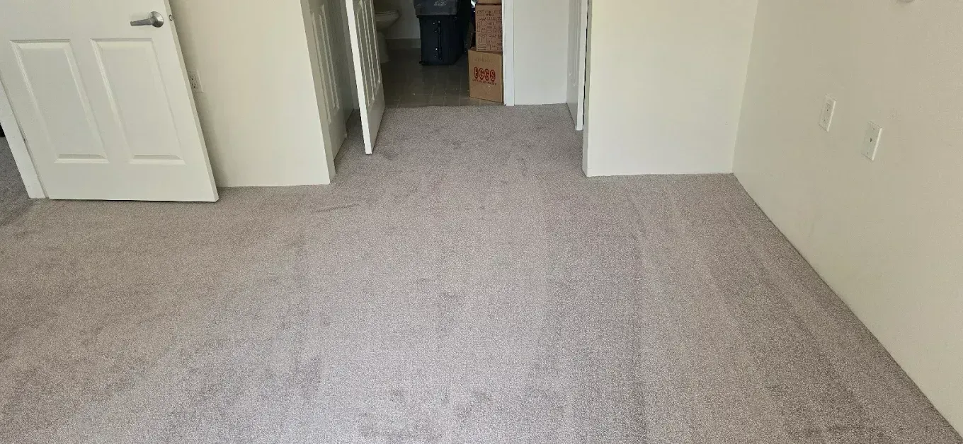 An empty room with light-colored carpet, a white door on the left, and a partially open doorway leading to a closet.