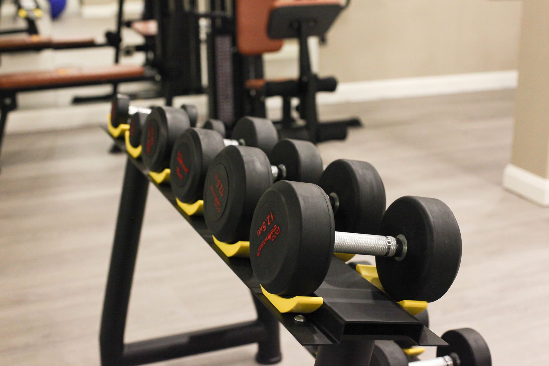 Hotel Gym Dumbbells berjer hotel gym