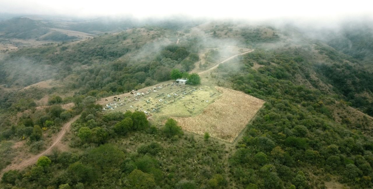 'Nossa Terra'