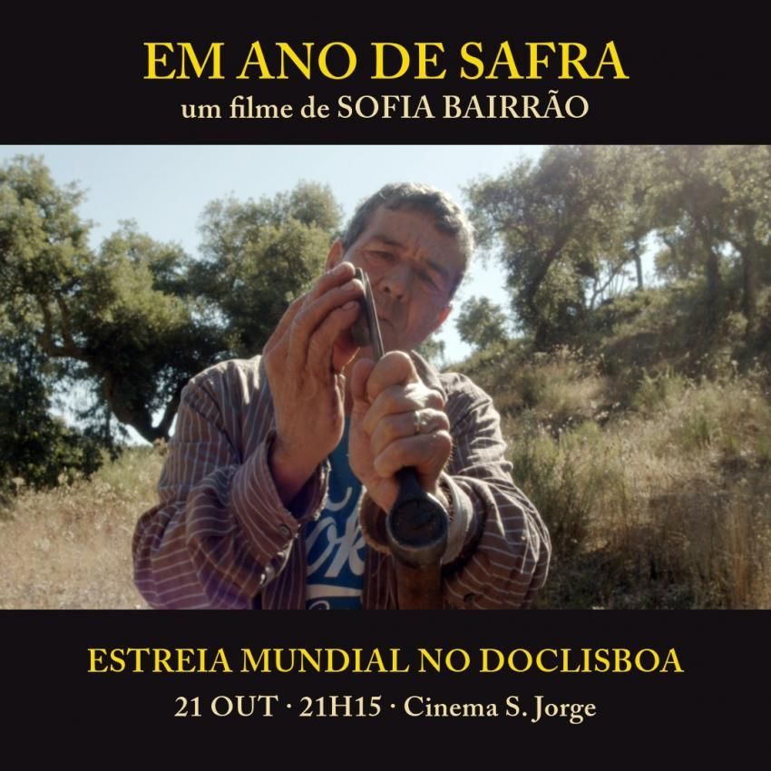 EM ANO DE SAFRA