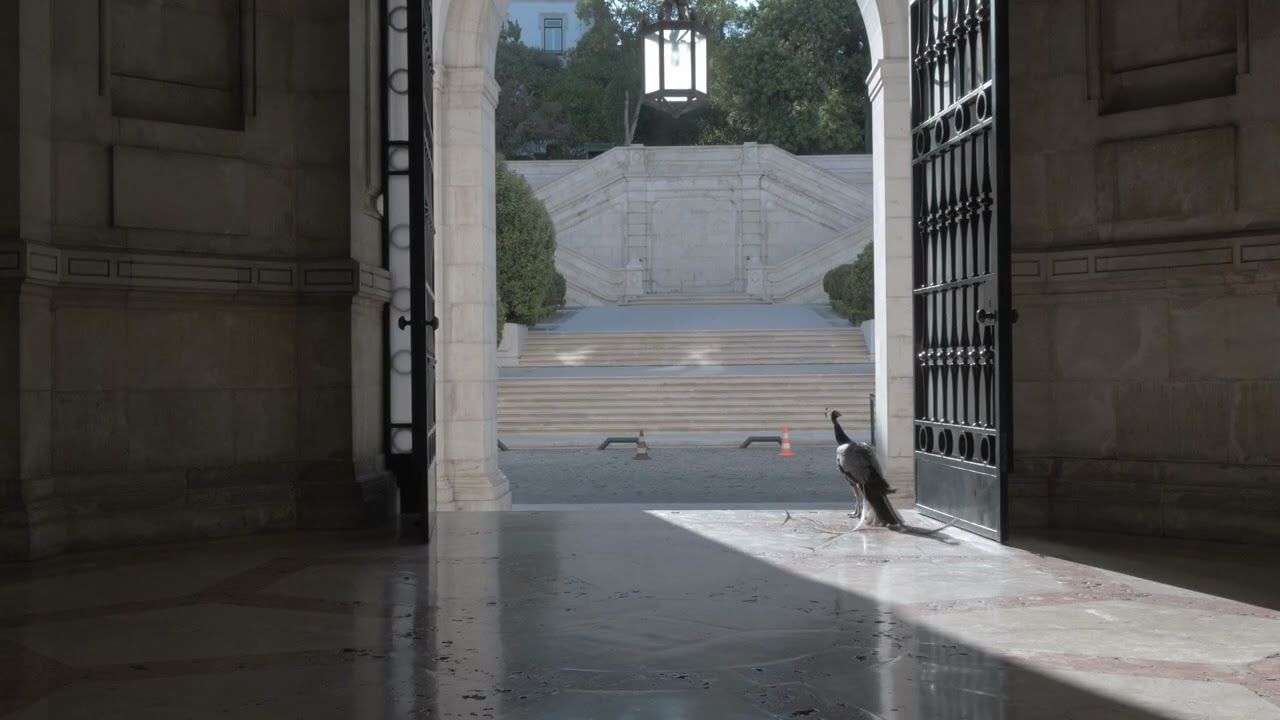 'O Palácio de Cidadãos'