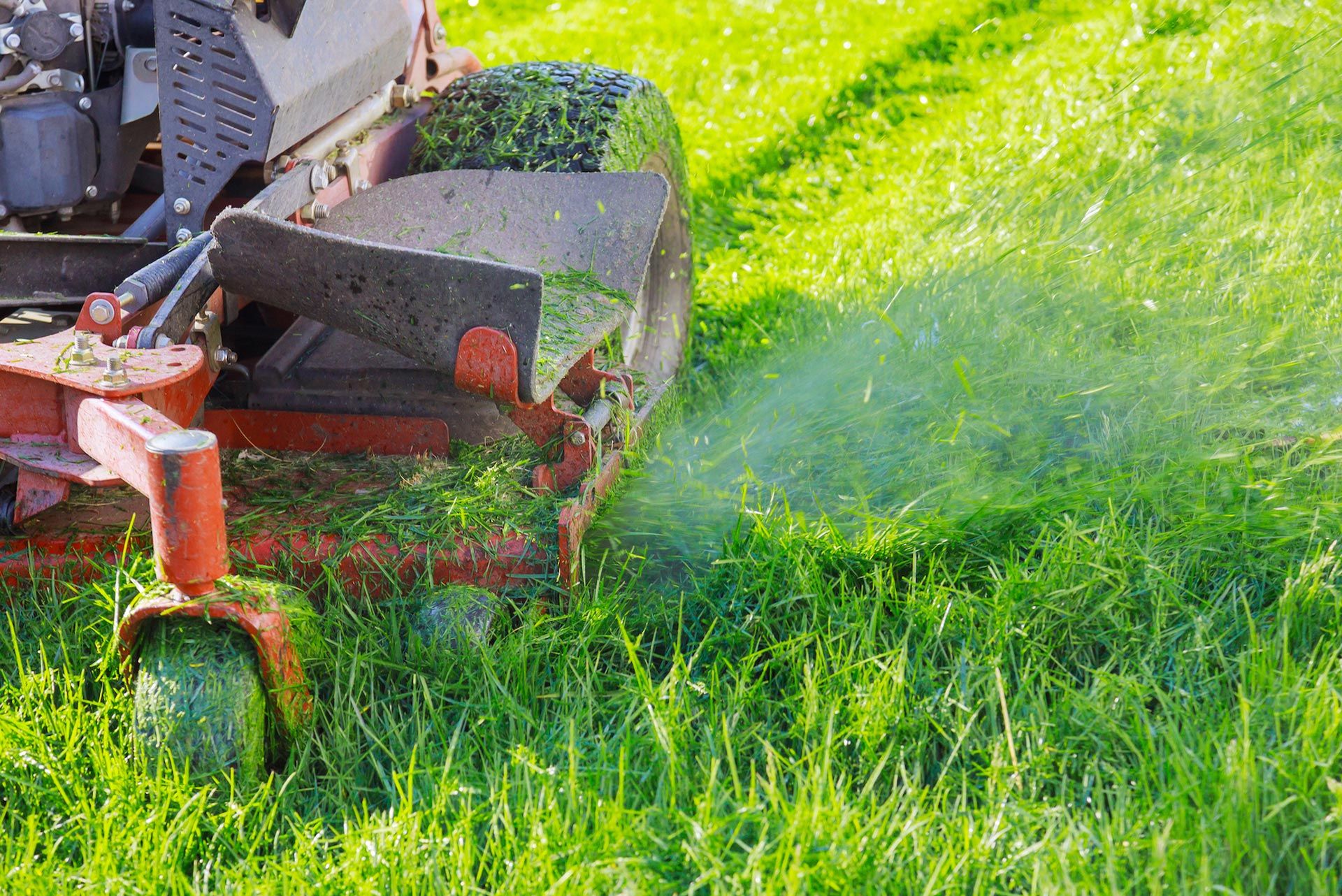 Lawn mower cutting tall green grass, spraying clippings in bright sunlight.