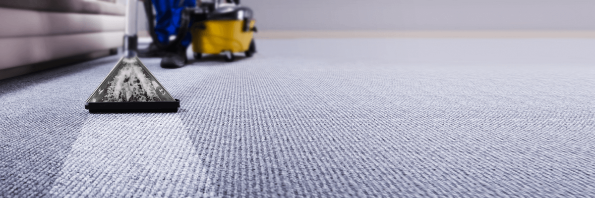 Carpet cleaning device shampooing carpet