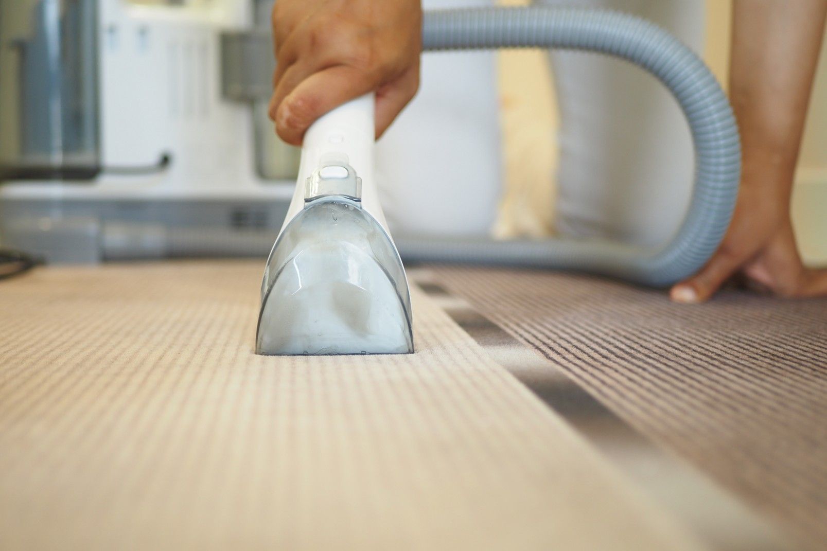 A hand vacuums a carpet with a nozzle, gray hose and machine in the background.