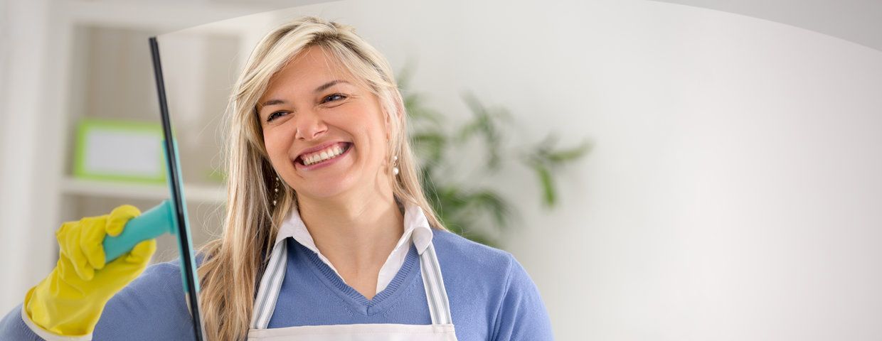 Cleaning Company Boise