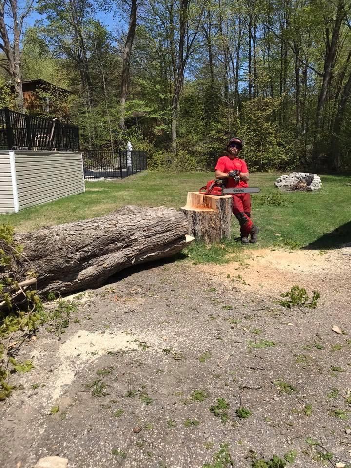 Une personne utilise une tronçonneuse pour couper le tronc d’un gros arbre tombé dans un jardin boisé.