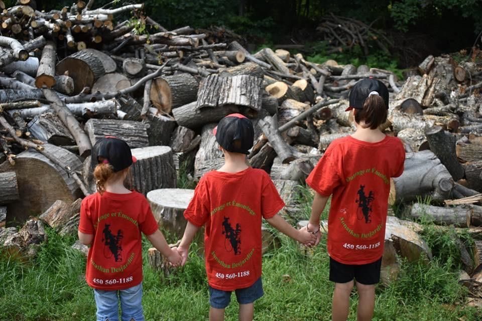 Trois enfants en tee-shirts rouges se tiennent par la main, face à un grand tas de bûches coupées en plein air.