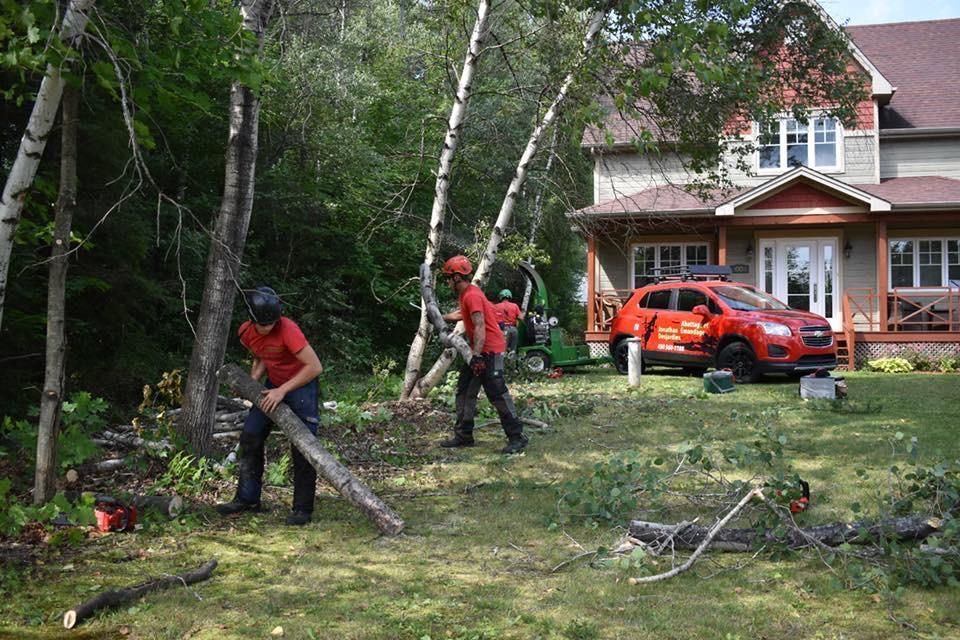 Des ouvriers déblayent les débris laissés par la tempête dans une cour à côté d’une maison, avec un camion rouge à proximité.