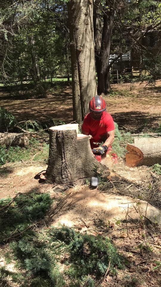 Une personne en chemise rouge coupe une souche d’arbre à la tronçonneuse dans un bois