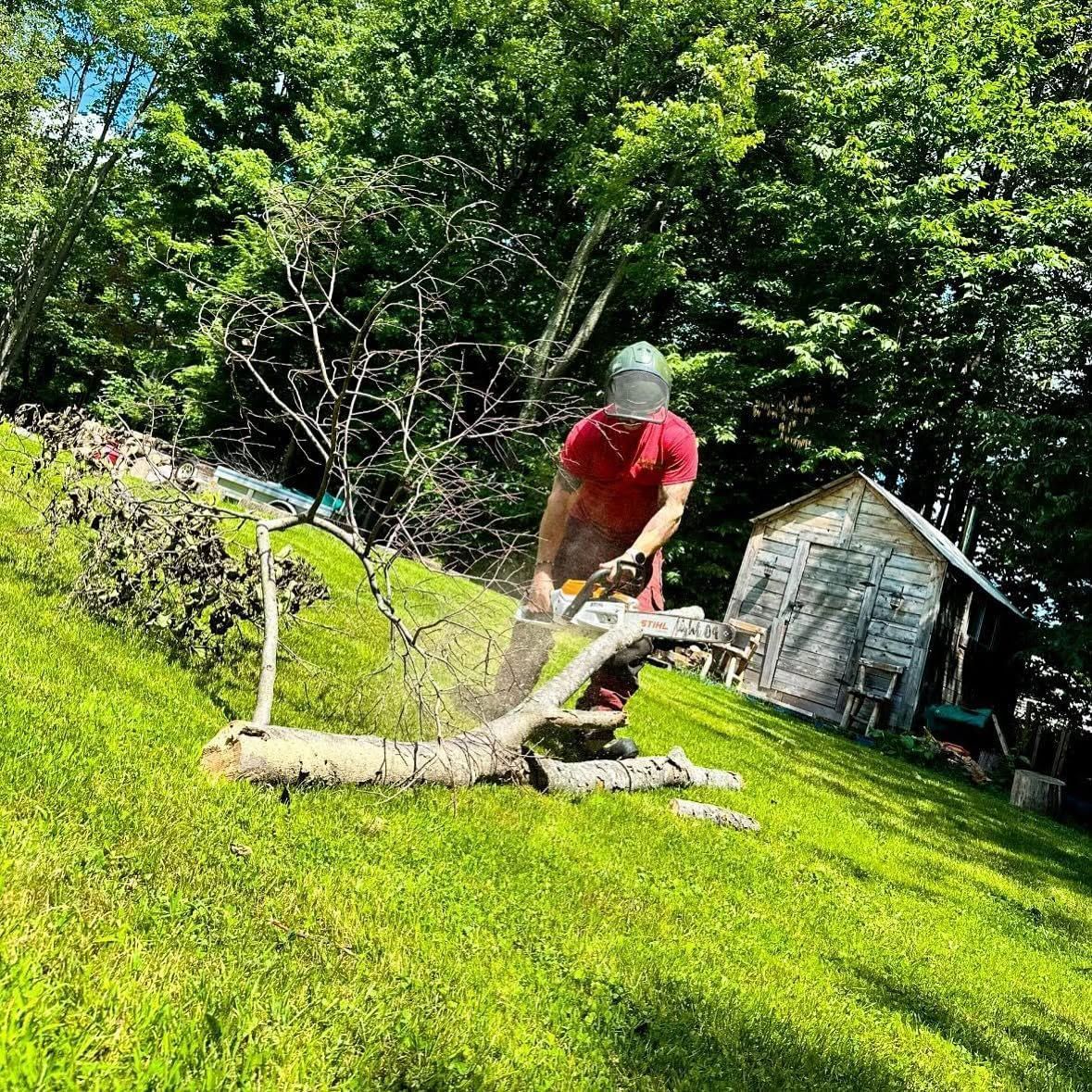 Une personne en tee-shirt rouge coupe un arbre tombé dans un jardin verdoyant et ensoleillé, à côté d’un petit abri