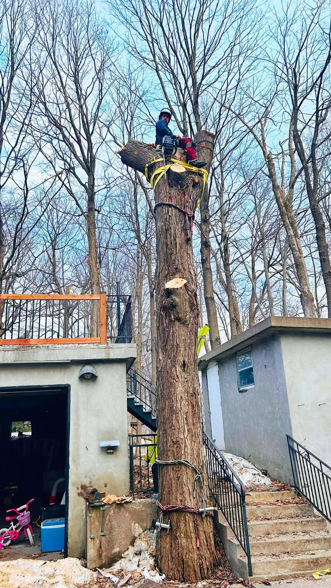 Deux ouvriers au sommet d’un haut tronc d’arbre, à côté d’un bâtiment, avec une tronçonneuse et des équipements de sécurité.