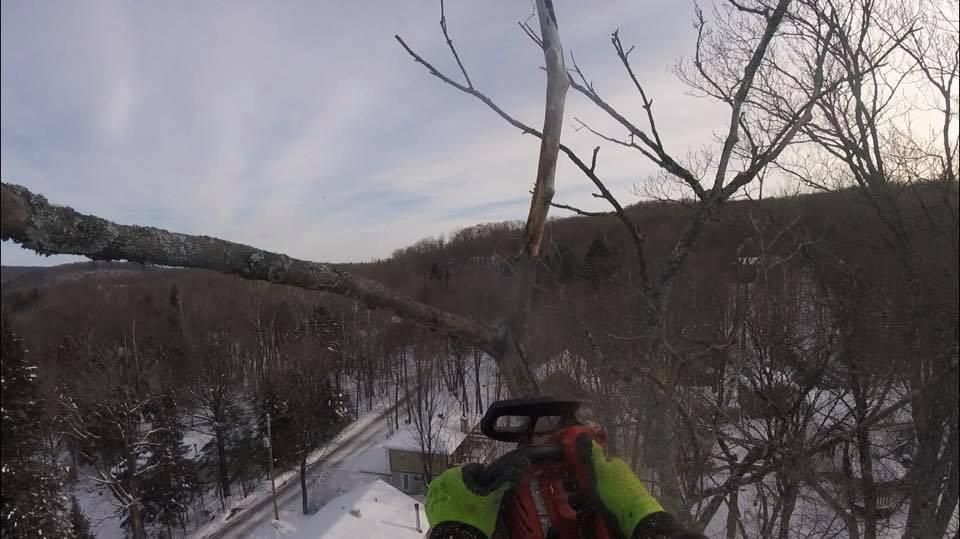Descendant une pente boisée enneigée à ski, avec un télésiège et des arbres dénudés par l’hiver devant.