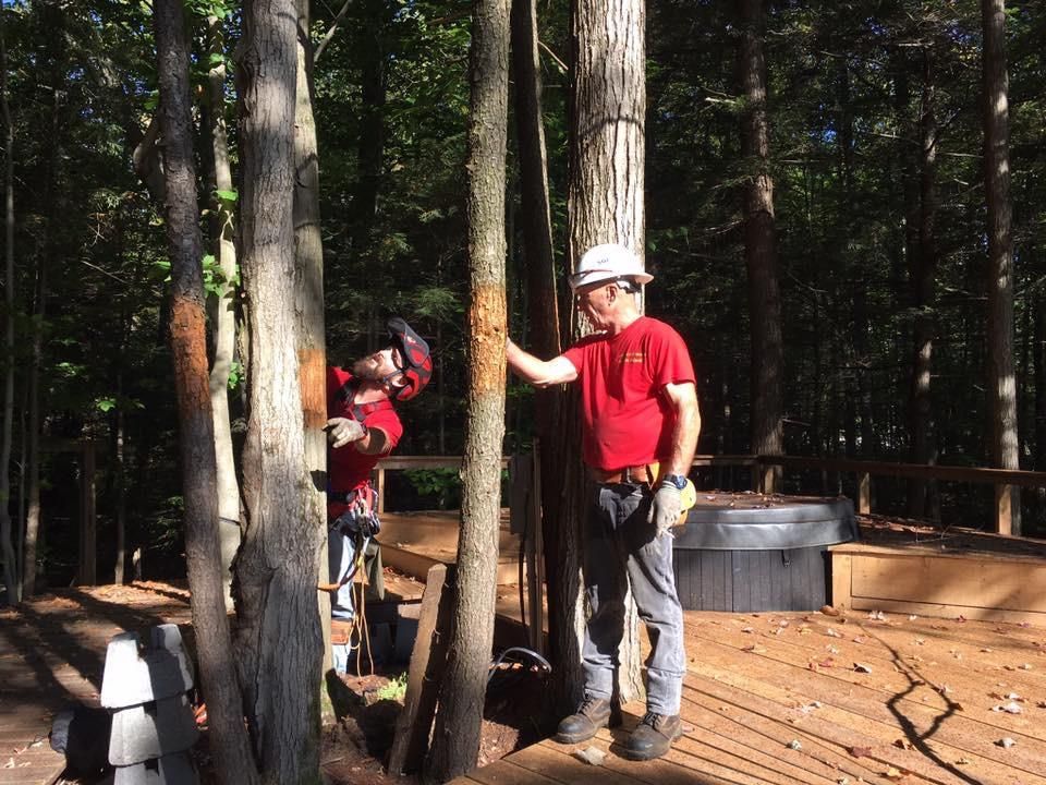 Deux personnes portant des casques de chantier sur une terrasse en bois dans une zone boisée, l’une debout près d’un arbre et l’autre penchée.