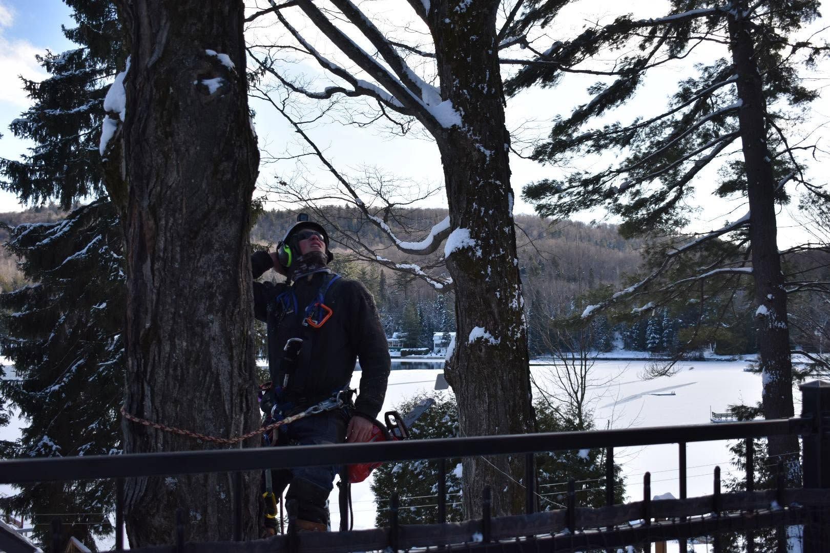 Une personne en vêtements d’hiver se tient près d’une balustrade, dans un espace boisé enneigé au bord de l’eau.