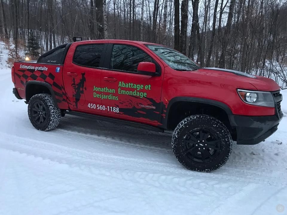 Camionnette rouge avec un motif noir sur une route enneigée dans une forêt en hiver