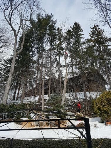 Versant enneigé avec de grands arbres, un chalet et une personne en veste rouge marchant près du sentier.