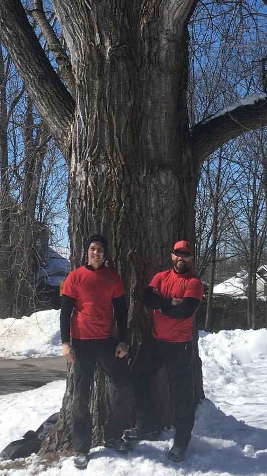 Deux personnes en chemise rouge debout dans la neige, devant un grand arbre