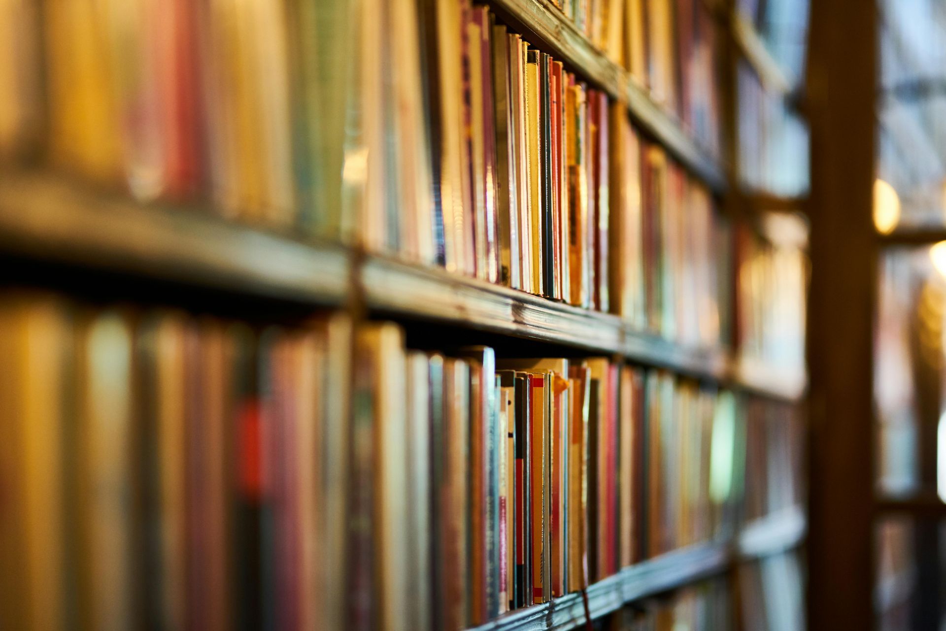 Bookshelves filled with colorful book spines in a warm-lit library.