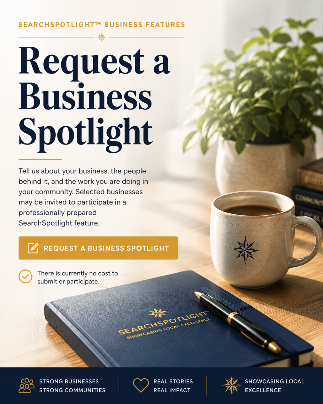 Request a Business Spotlight from SearchSpotlight by Search-IDEALZ4U