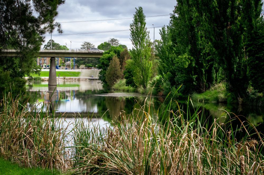 A River Scene With a Bridge in the Background, Surrounded by Trees — Capital Fencing in Queanbeyan, NSW