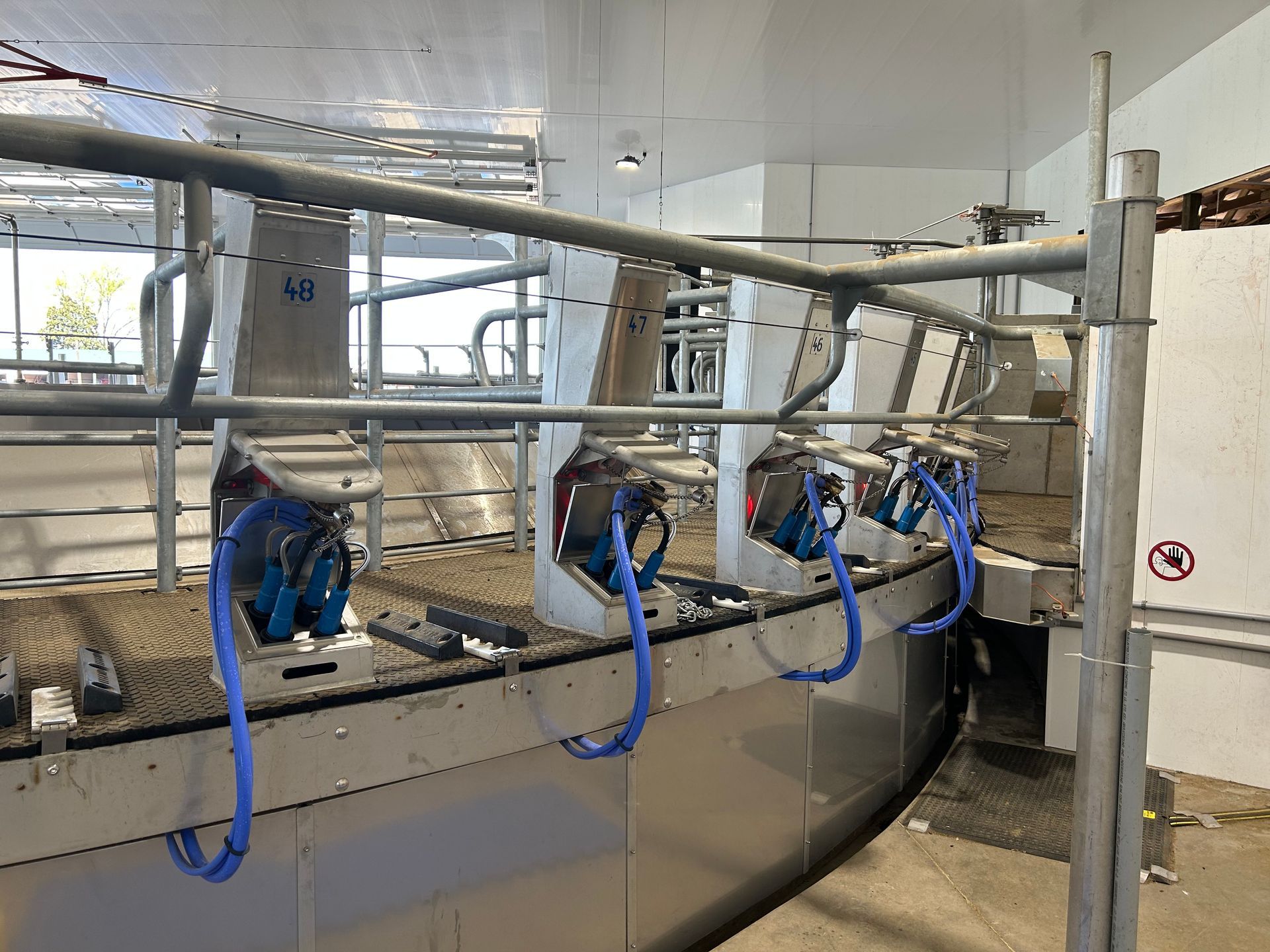 Rotary milking equipment inside a modern dairy farm.