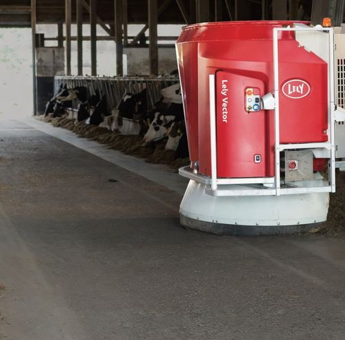 Red robotic dairy feeder moving along a barn aisle beside feeding cows