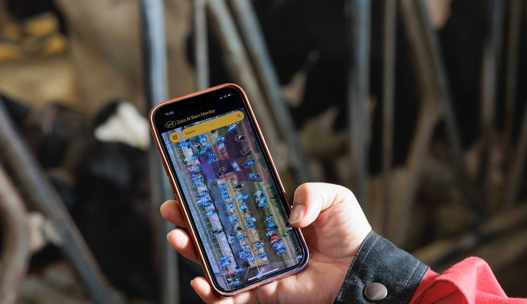 Hand holding a smartphone displaying herd management software in a barn