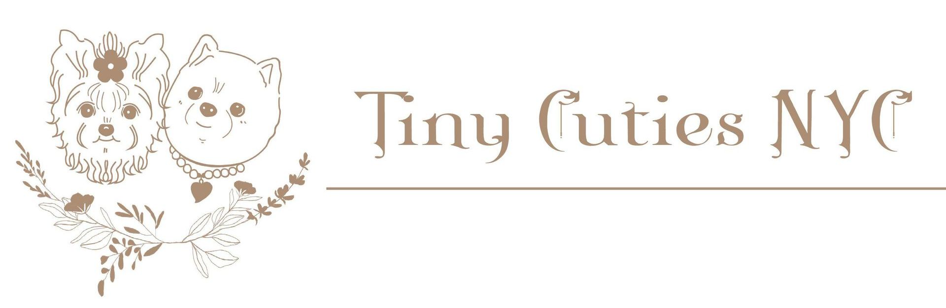 New York Teacup Pups Queens, NY Tiny Cuties NYC