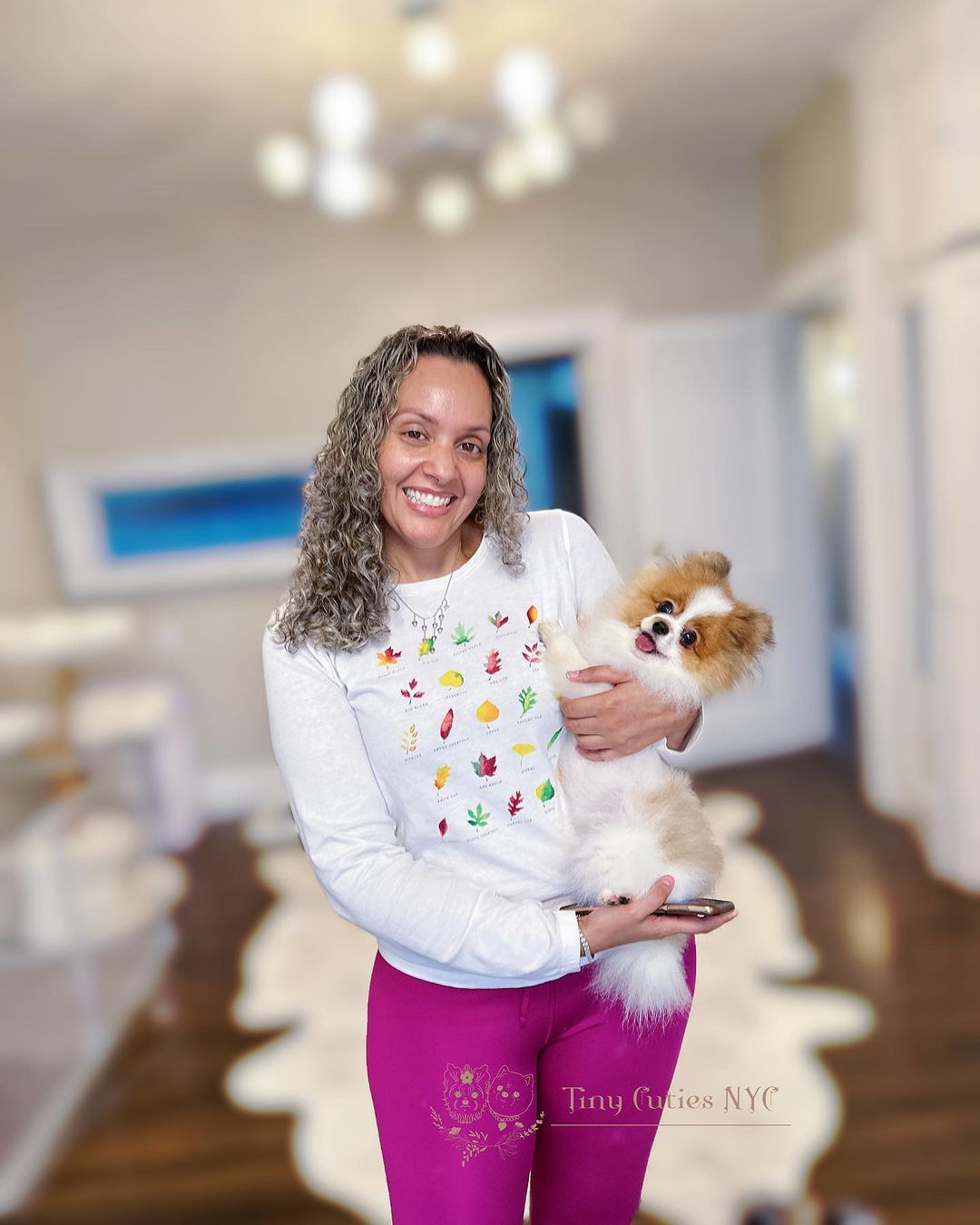 Teacup Pomeranian — Astronia Queens, NY — Tiny Cuties NYC
