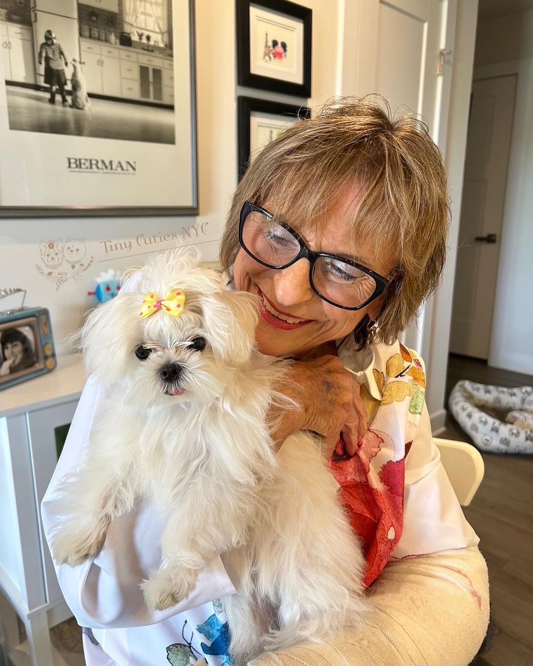 Teacup Maltese — Astronia Queens, NY — Tiny Cuties NYC
