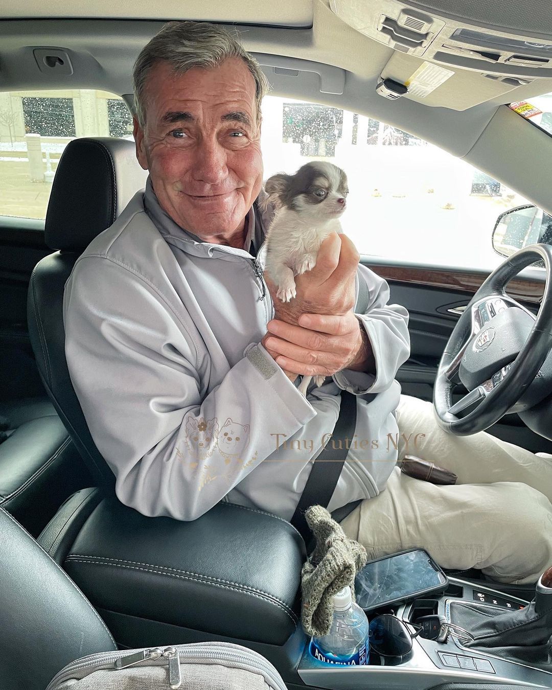 Micro Teacup Chihuahua — Astronia Queens, NY — Tiny Cuties NYC