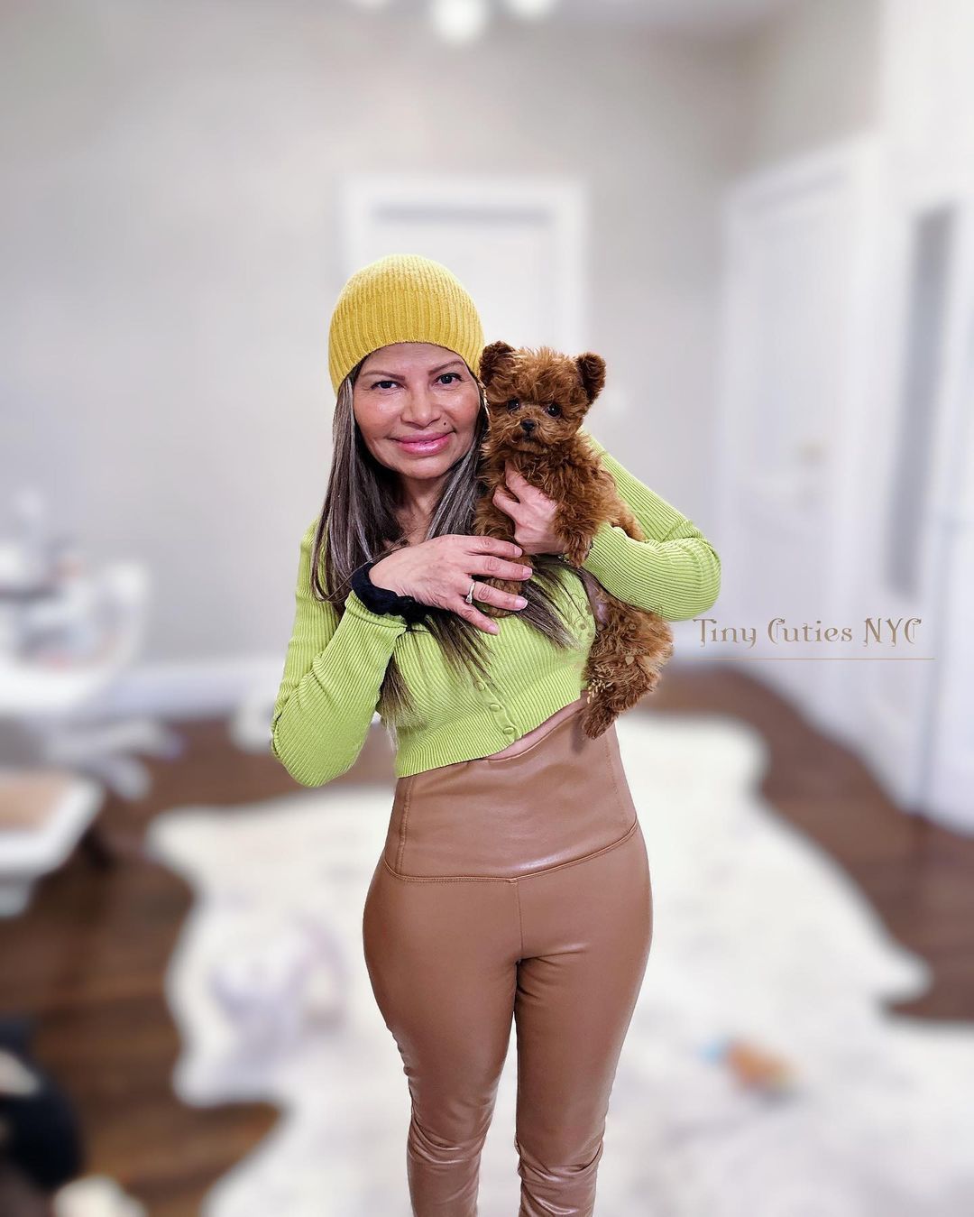 Teacup Poodle With Mickey Mouse Ears — Astronia Queens, NY — Tiny Cuties NYC