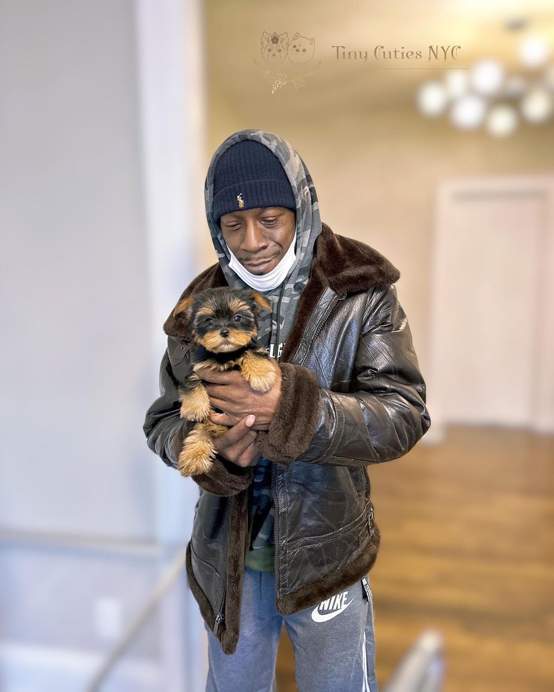 Micro Teacup Yorkies — Astronia Queens, NY — Tiny Cuties NYC