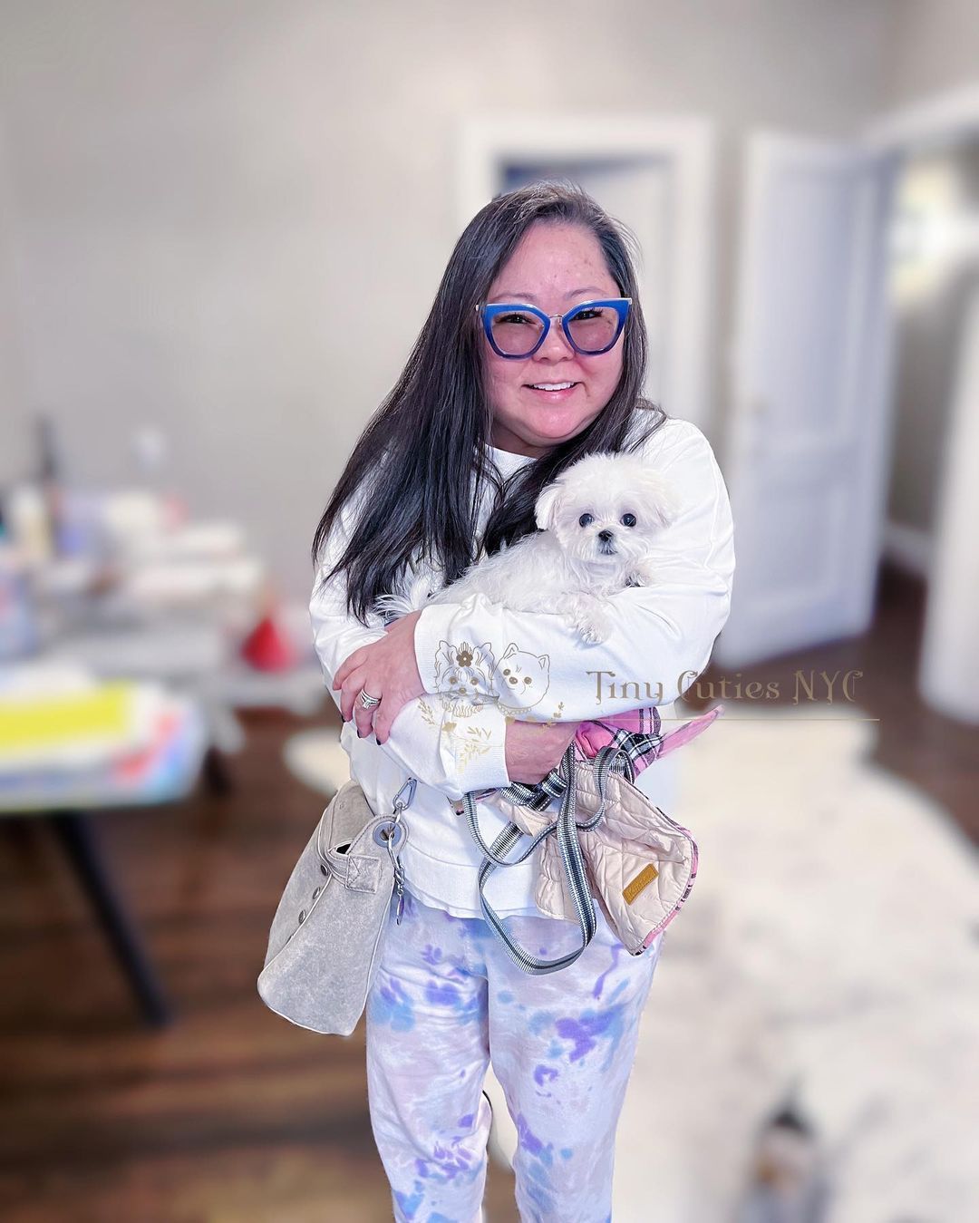Micro Teacup Maltese — Astronia Queens, NY — Tiny Cuties NYC