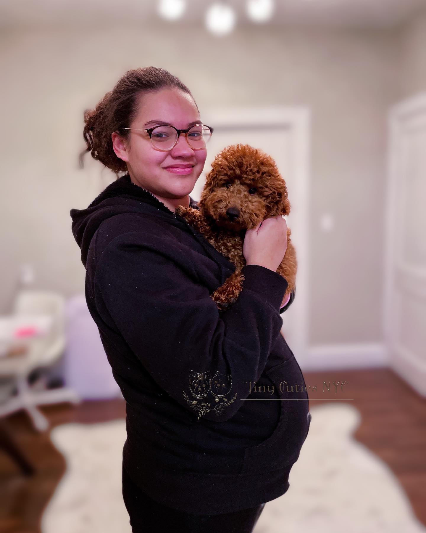 Teacup Poodle — Astronia Queens, NY — Tiny Cuties NYC