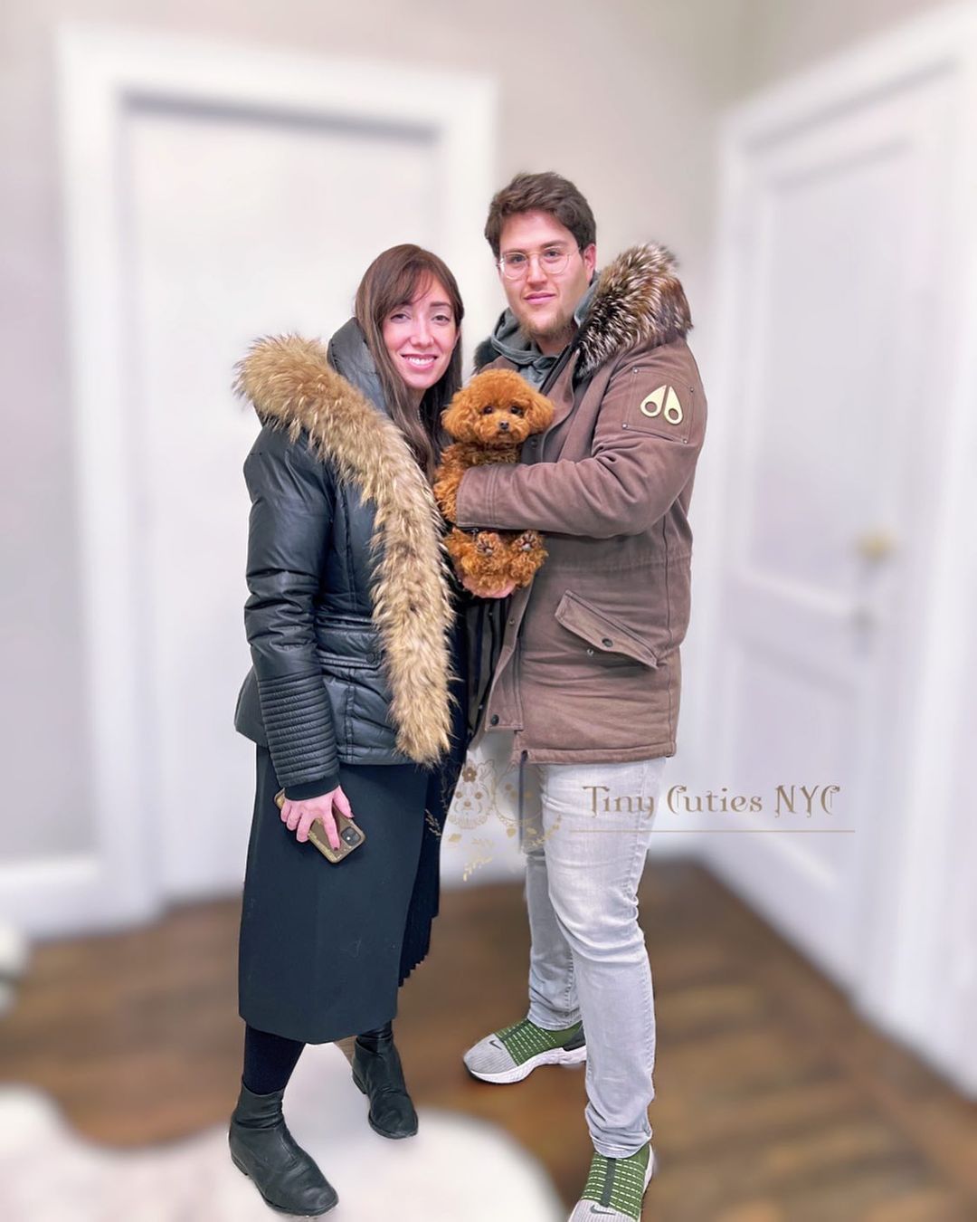 Teacup Poodle — Astronia Queens, NY — Tiny Cuties NYC