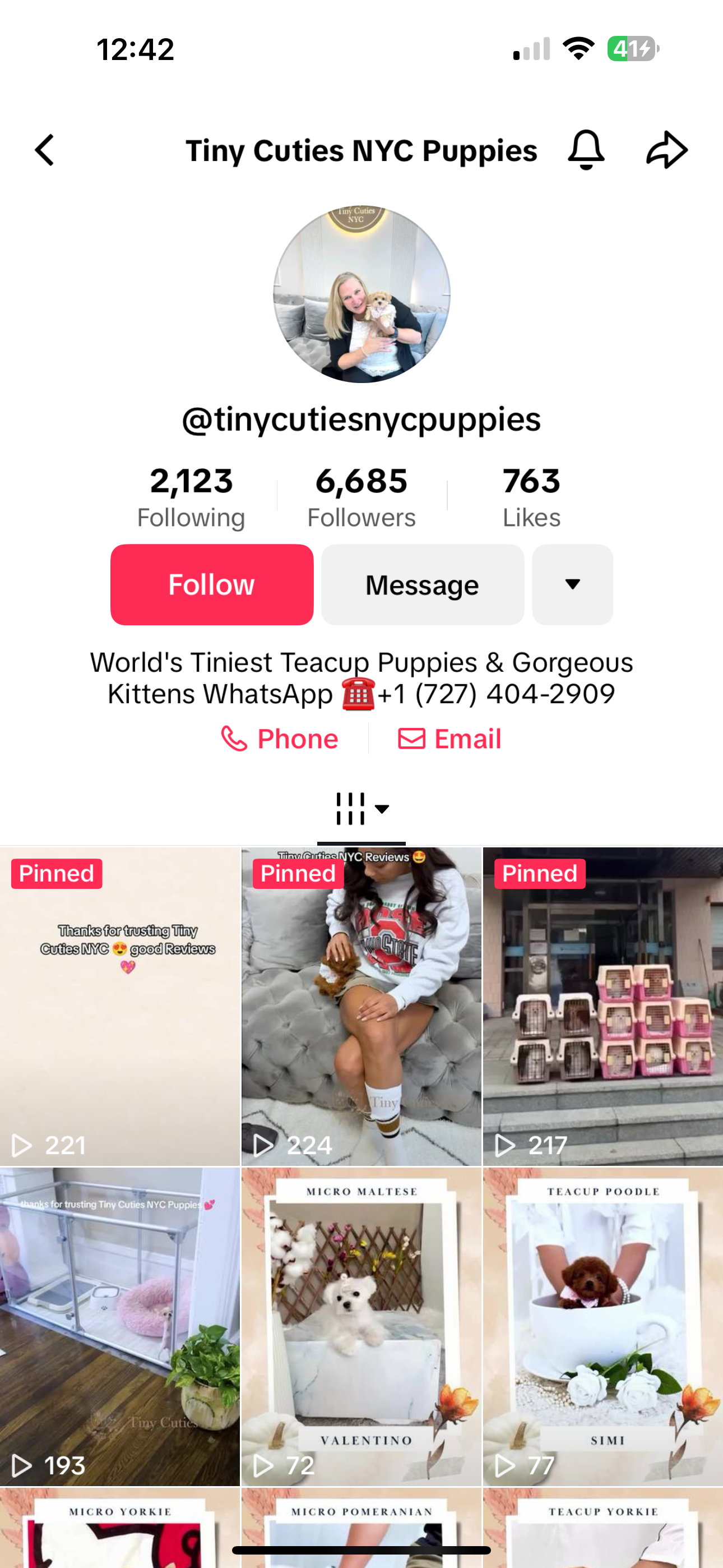 scammer from tiktok