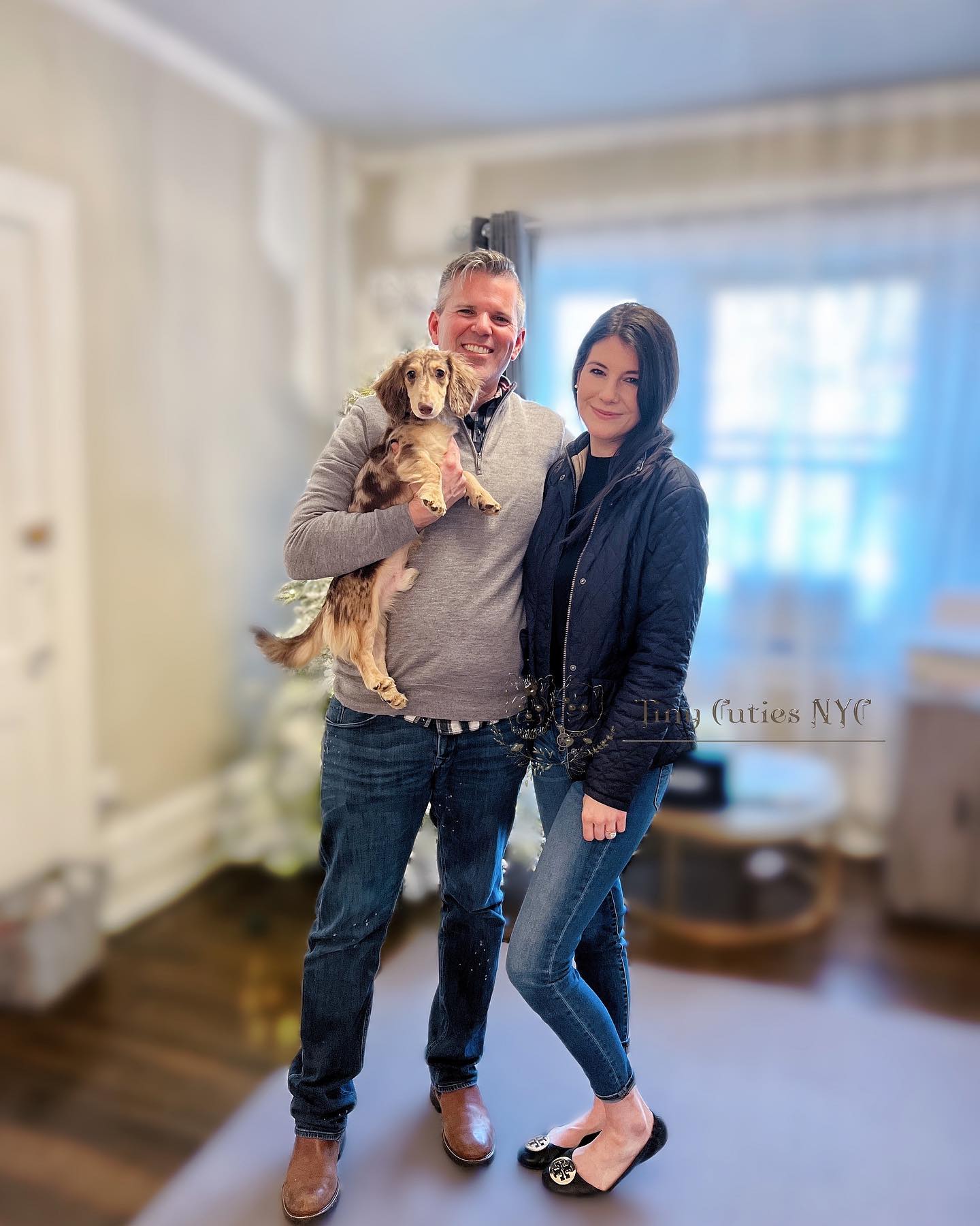 dachshund — Astronia Queens, NY — Tiny Cuties NYC